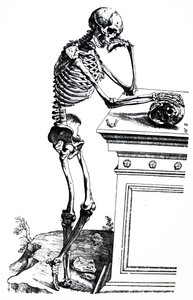 De Humani Corporis Fabrica