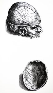 De Humani Corporis Fabrica
