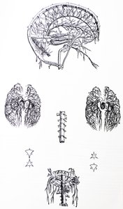 De Humani Corporis Fabrica