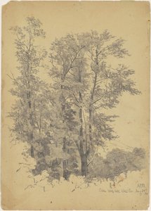 Oaks, Kurt Tepesi, Ulster İlçe