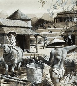  by Andrew Howat