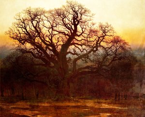 Binbaşı Meşe, Sherwood Ormanı, Nottinghamshire, 1882