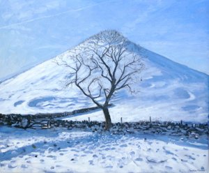 Tepe ve Ağaç, Derbyshire, 2008 by Andrew Macara