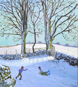  by Andrew Macara