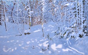 Kasım Karı, Allestree Woods, Derby, (tuval üzerine yağlı boya) by Andrew Macara