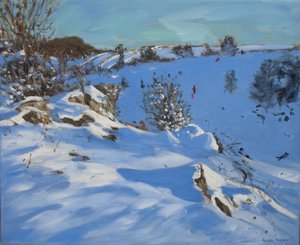 Kızaklar, Derbyshire, 2011 by Andrew Macara