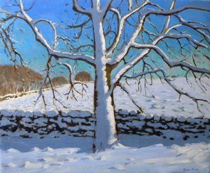 Karla Kaplı Ağaç, 2011 (tuval üzerine yağlı boya) by Andrew Macara