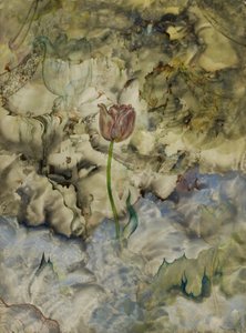  by Andrey Avinoff