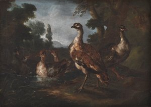 Kuşlarla Manzara by Angelo Maria Crivelli