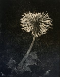 Hope, 2019 (kağıt üzerinde gravür ve aquatint) by angus hampel