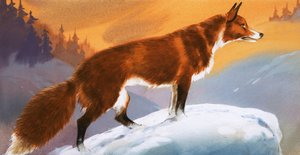 Karda tilki by Angus McBride