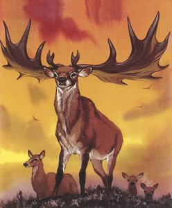 Her biri dev by Angus McBride