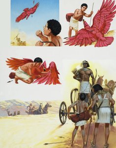 Kırmızı Kuş by Angus McBride