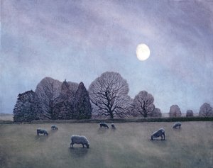 Mehtaplı Gece, 2004 by Anna Phillips
