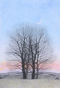 Yeni Ay, 2011 (kağıt üzerine renkli kalem) by Anna Phillips