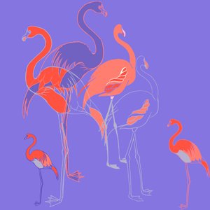 flamingolar