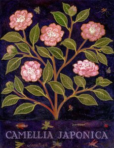 Kamelya by Anna Pugh