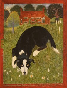 Collie Köpeği (akrilik) by Anna Pugh