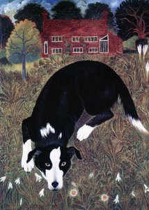 METADATA İÇİNDE by Anna Pugh