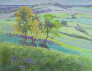 İlkbaharda Bluebells ile Winchelsea, Sussex