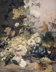 Güller ve Üzümler by Anne Frances Byrne