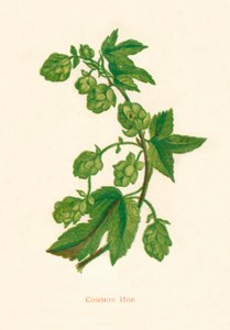 Ortak Atlama, c1891, 1891