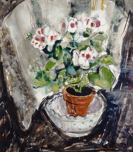 Pelargonium (kağıt üzerine sulu boya)