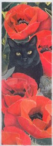 haşhaşlı kara kedi