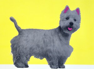 Bestie Westie, 2015 by Anne Storno