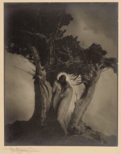 Fırtınanın Kalbi by Anne W. Brigman