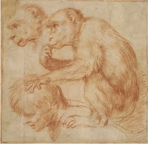 Carracci - Sol profilden bir adamın omuzlarında bir maymun ve yüzünün incelenmesi, bir resim için çalışma Kırmızı tebeşir, Ff,2.115 by Annibale Carracci