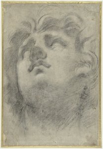 Bir triton başkanı arıyorum by Annibale Carracci