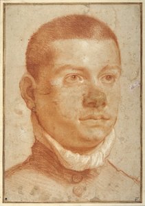 Genç bir adamın portre başı (kırmızı tebeşir) by Annibale Carracci