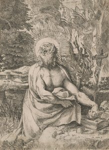 Vahşi Doğada Aziz Jerome by Annibale Carracci