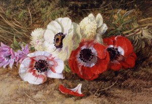 Anemonlar by Annie Feray Mutrie