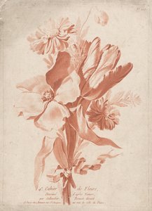 Çiçekler 4 Cahier de Fleurs (nesne üzerinde dizi başlığı) by Anonymous