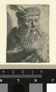 Polonyalı bir beyefendinin büstü by Anonymous