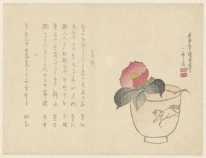 At ile bir fincan Camelia by Anonymous