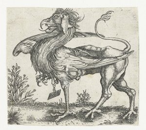 griffin by Anonymous