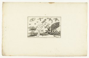 Fantastik bir kanatlı canavar ve çekirge Volatilium varii generis (...) (dizi adı) by Anonymous