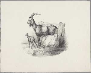 Bir keçi, bir keçi ve bir kuzu Altı küçük hayvan çalışması (dizi başlığı) Altı küçük canavar çalışması (nesne üzerine seri başlığı) by Anonymous