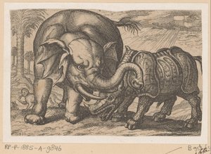 Bir gergedan bir fil ile savaşır Fighting Animals (kopyalar) (dizi adı) by Anonymous