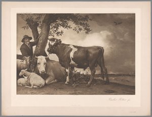 Paulus Potter
