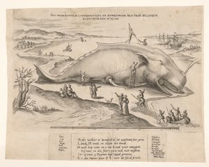 Anvers yakınlarında karaya vurmuş balina, 1577 Bu[n] balinanın waerachtich conterfeytsel ve boyutu, ghevanghe[n] den 2 Juli 1577 (nesne üzerindeki başlık) by Anonymous