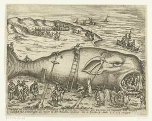 Berckhey yakınlarında mahsur kalmış Walvis, 1598 Warhafttigh Ve Harika Canavar veya bir balina şeklinde Pottfisch, Möer, 4 Şubat
