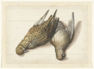 Goudplevier Lombard albümü (seri başlığı) by Anonymous