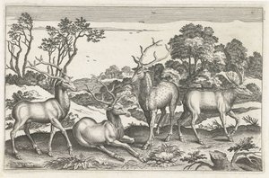 geyik Dört ayaklı hayvanlar (dizi adı) Animalivm Qvaddrvpedvm (dizi başlığı) by Anonymous