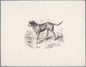 Bir zincir üzerinde köpek Altı küçük hayvan çalışması (dizi başlığı) Altı küçük canavar çalışması (nesne üzerine seri başlığı) by Anonymous