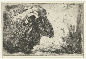 Bir koç başı by Anonymous