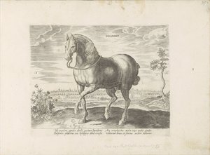 Paard Gelre